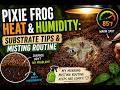 Pixie Frog Heat & Humidity