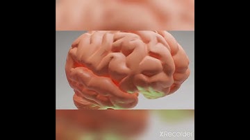 human brain 3d animation video