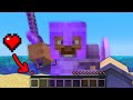 I Took Over A Public Minecraft SMP On ONE HEART 