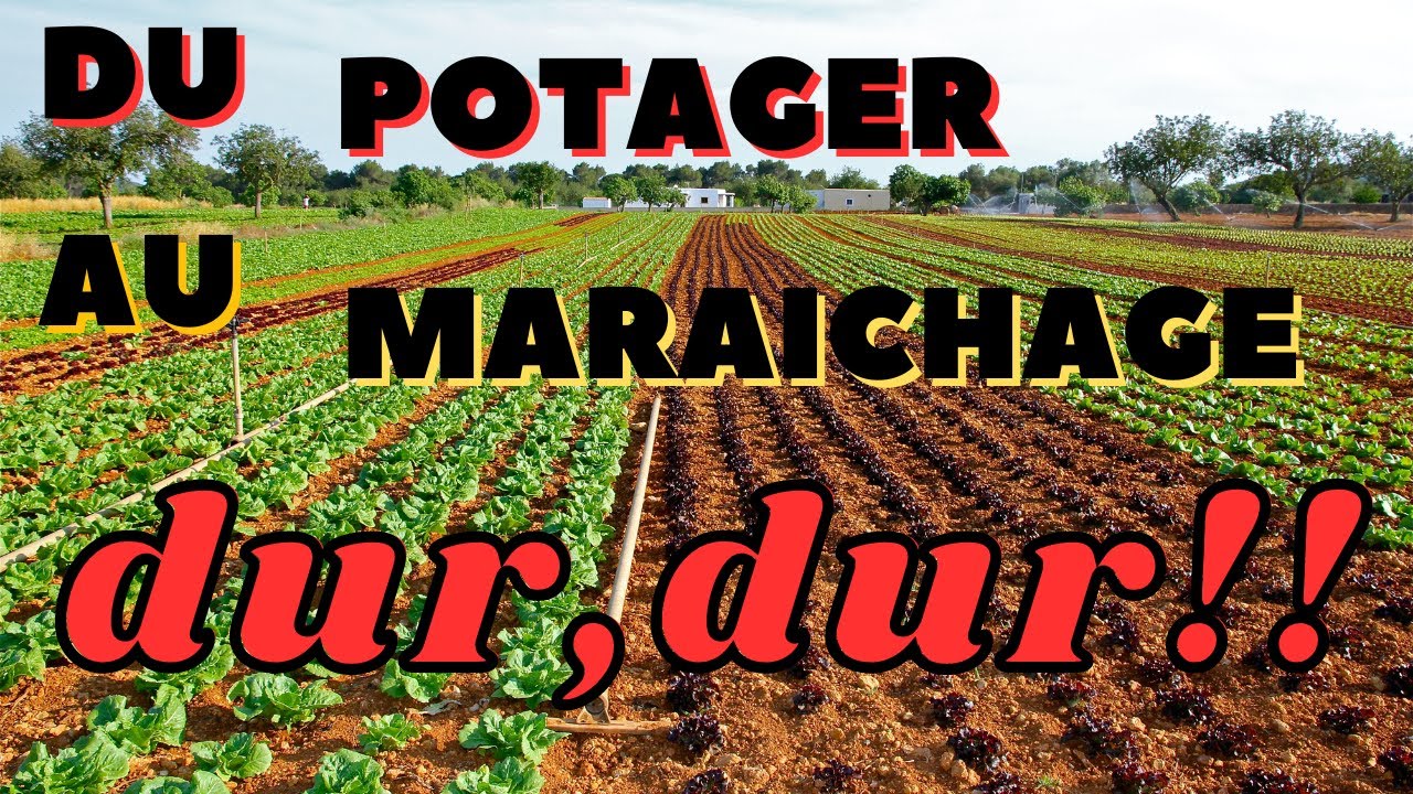 du potager au maraichage , dur dur !!!