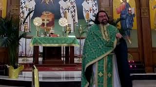 4/13/2025 Palm Sunday Sermon: Longing to See the King