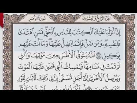 القرآن الكريم بالصفحات صوت وصورة ص 463 الشيخ محمود خليل الحصري بمد المنفصل 
