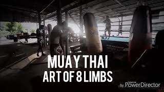 MUAY THAI MOTIVATION