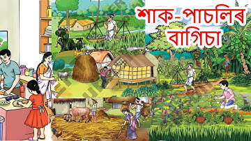 শাক পাচলিৰ বাগিচা | Hak Pasolir Bagisa | Class 4, EVS Environmental Sciences | SCERT | Assam