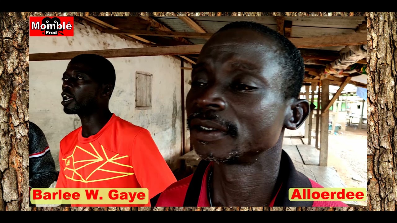 Barlee W  Gaye Tradition Singer Alloerdee