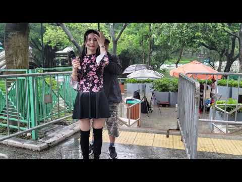 屯門公園 2019年5月8日 羅拉 等風等雨我等你