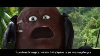 oasis fruit race