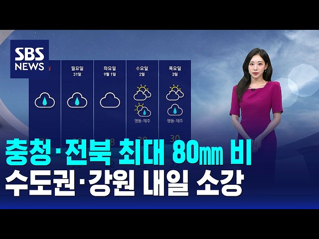[날씨] 충청·전북 최대 80㎜ 비..수도권·강원 내일 소강 / SBS