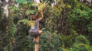 Mom Gone WILD in the Jungle || Sailing Moorea, French Polynesia