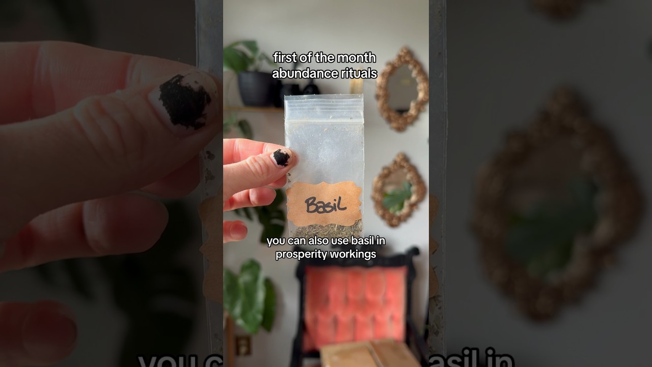 first of the month abundance rituals - beginner witch money tips 