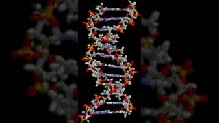Theory of evolution | Wikipedia audio article