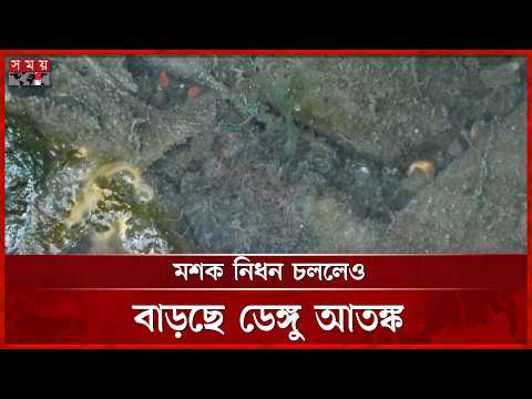 রাঙ্গামাটির একাধিক এলাকা এখন অঘোষিত ‘রেড জোন’ | Rangamati | Dengue | Red Zone | Somoy TV