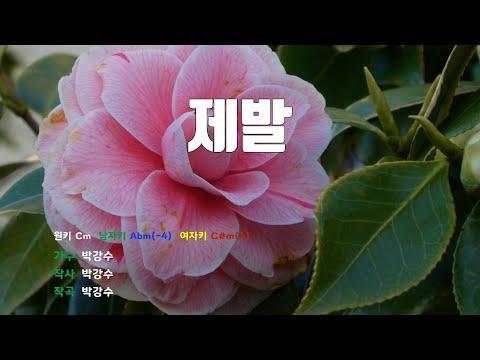 [은성 반주기] 제발 - 박강수