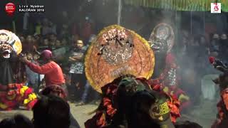 Download Lagu Rampokan Singo Barong Raja Kabruk LEGOWO PUTRO Live TAMANSARI 2018 MP3