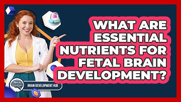 What Are Essential Nutrients For Fetal Brain Development?