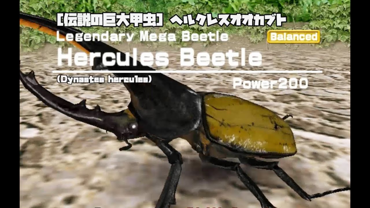 甲虫王者 ムシキング - 全カブト と クワガタの図鑑 [完全版2006