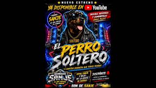 El perro soltero ((sonidero de pueblo))