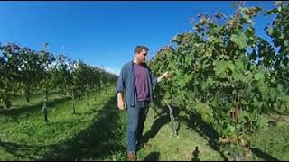Drew Baker from Old Westminster Winery in Maryland