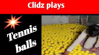 process of making tennis balls 🎾 screenshot 2