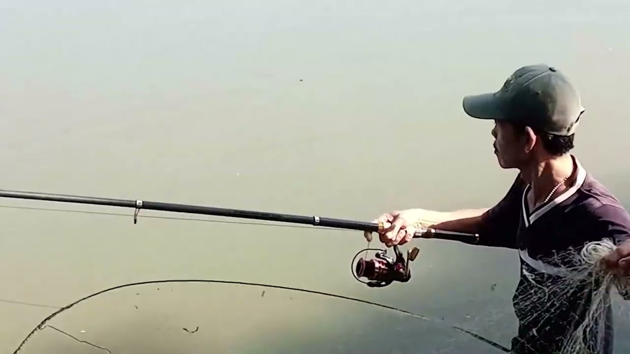 GARA GARA JARING KOLONG SEMUANYA BERES #alamindonesia #situbabakan @ONcomers