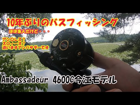 アンバサダー4600FL エビス アンバサダー4600FL エビス アンバサダー4600FL エビス