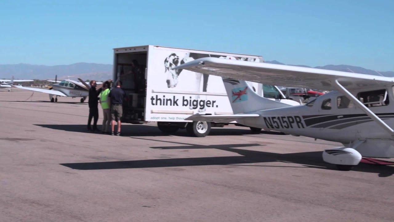 Humane Society of Utah Transfer & Rescue Program