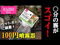 【知らなきゃ損！】観葉植物の葉水が楽しくなる激安噴霧器【ダイソーの霧吹き】【100均園芸】