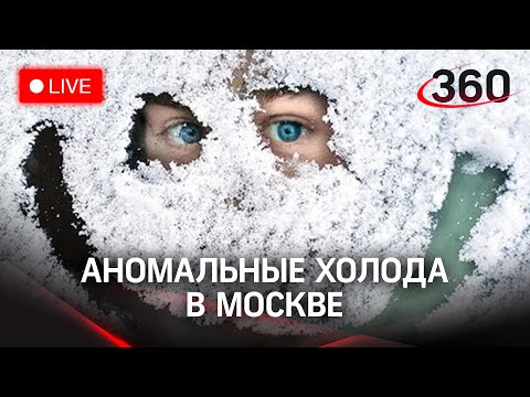 Как выжить во время аномальных холодов? Прямая трансляция