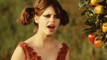 ひなぎく / Sedmikrásky 1966 予告