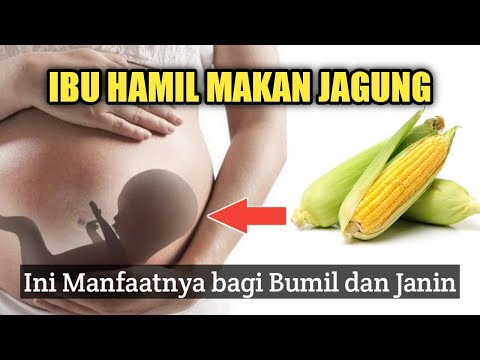 Ibu Hamil Boleh Makan Jagung