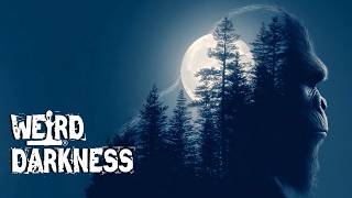 True Bigfoot Stories  The Encounters You Know The Paranormal Ones You Dont