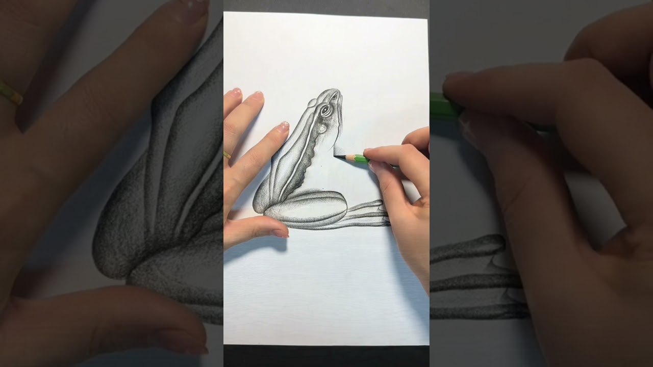 Easy Frog Drawing Secrets Nobody Tells You  