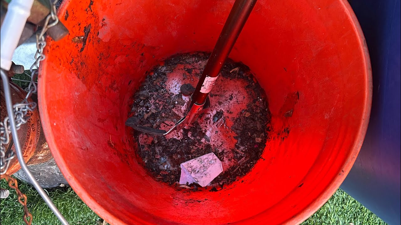 Bedstuy resident sounds off about living in filth! Street cleaning NYC - Episode 4