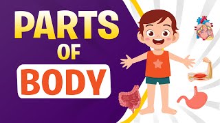 Parts of the Body | Learn English | Biology for Kids | Science Lesson | Educational Videos for Kids