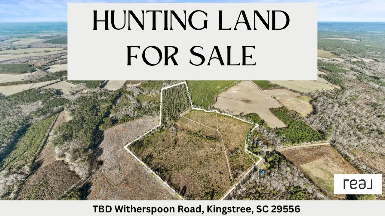 64 Acres of Hunting Land for Sale in Kingstree, SC | South Carolina Land | $375,000