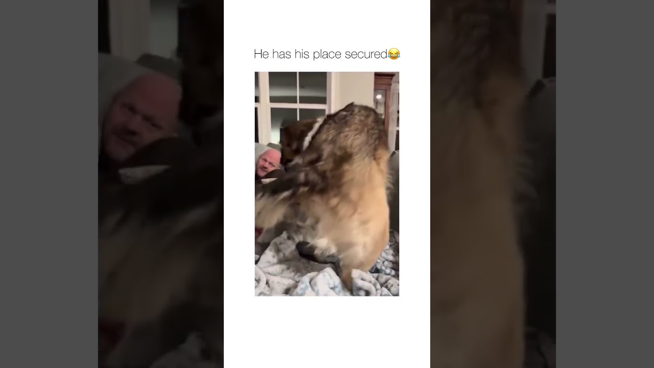 Did not expect that trust fall haha 😂🐾