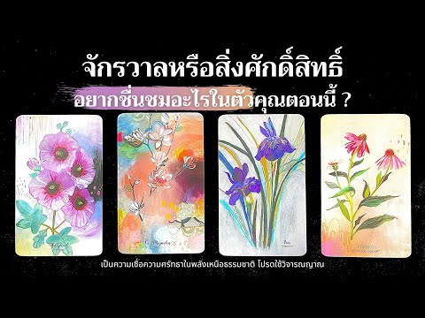 วีดีโอ: สิ่งที่คุณเรียกว่าคนที่คิดว่าพวกเขารู้ทุกอย่าง?