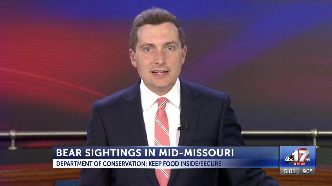 Ashland encounter adds to list of MidMissouri bear sightings YouTube