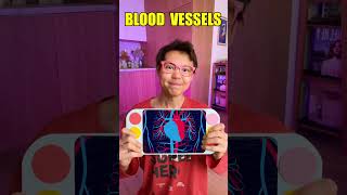 🌈 Amazing Body Secrets! 🧠 Discover What’s Inside You with Fun Facts!