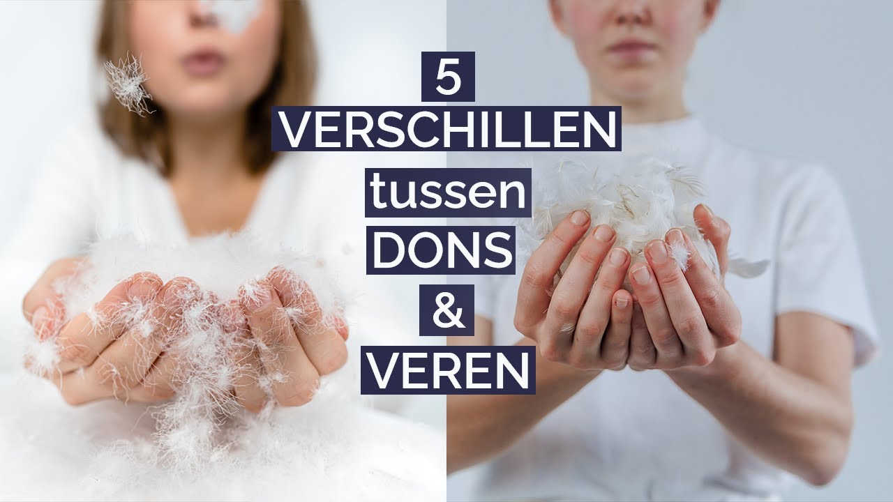 5 verschillen tussen dons en veren