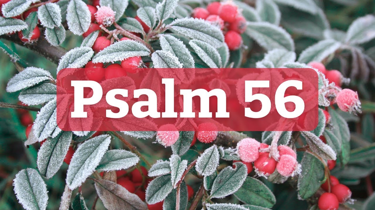 A Model for Praying Through Our Troubles; Psalm 56