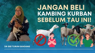 Lagi Cari Hewan Kurban? Ini Tips Wajib Dari Peternak Langsung