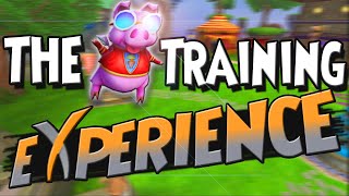 Wizard101: The Pet Training Experience