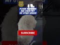 Dog RESCUED from FIRE by Police Officer #Shorts