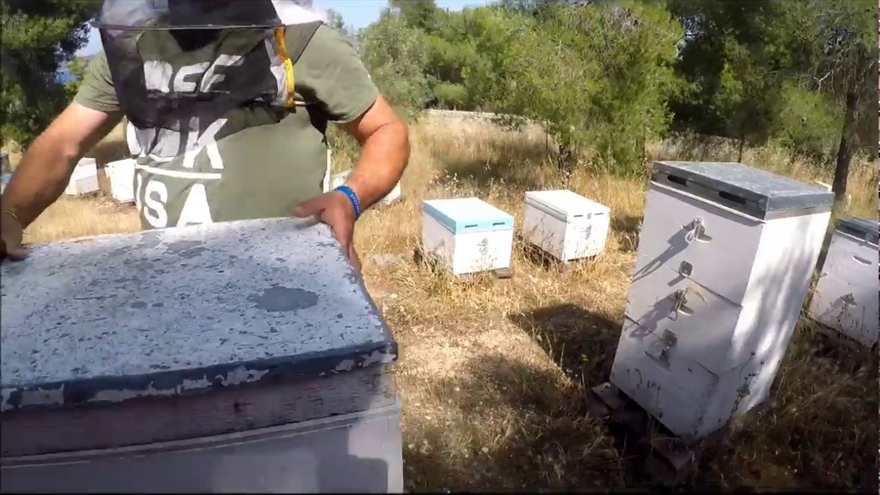 Χειρισμοι στα Θυμάρια. Στατικό μελισσοκομείο.