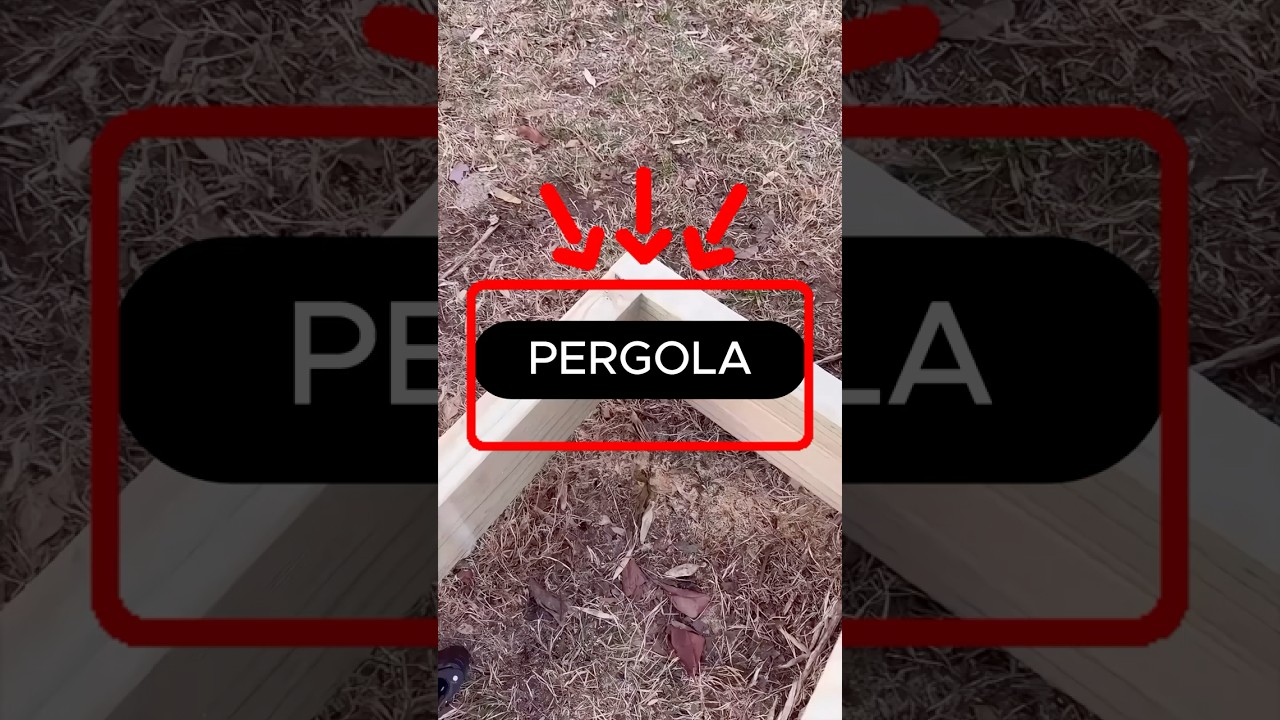 Это ГЕНИАЛЬНО! (@victorclarke86)