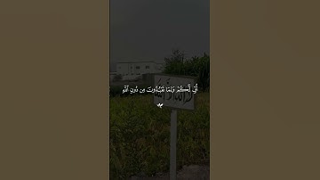 تلاوه خاشعه مشاري العفاسي #قران #مشاري_العفاسي  #quran #قران_كريم #تلاوة_خاشعة