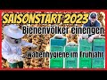 Bienenvölker einengen - Wabenhygiene im Frühjahr - Erste große durchsicht der Bienenvölker MiniPlus