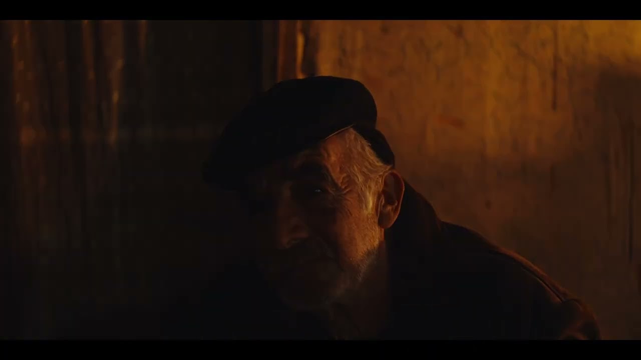 Birds Dont Sing at Night.