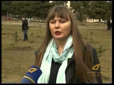 გამწვანება ახალგაზრდობის პარკში 08- 02 -2016